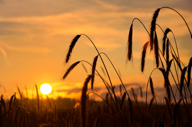 Similar image 796529