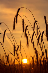 Similar image 796531