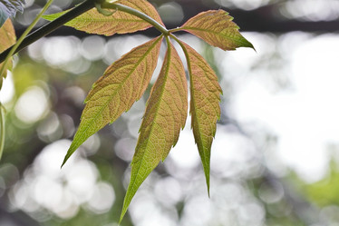 Similar image 796539