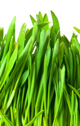 Similar image 796543