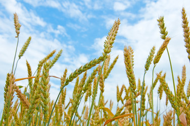 Similar image 796561