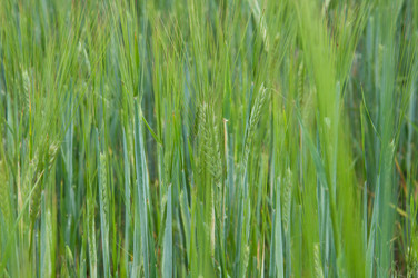 Similar image 796563