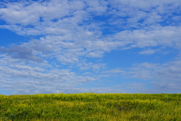 Similar image 796569