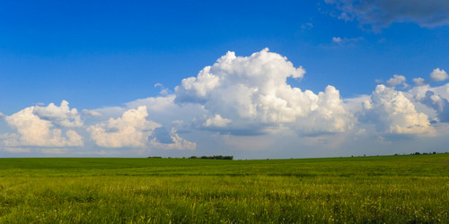 Similar image 796570