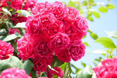 Similar image 796571