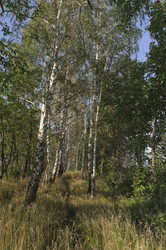 Similar image 796577