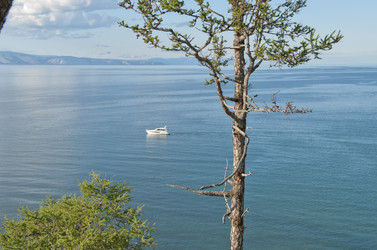 Similar image 796622