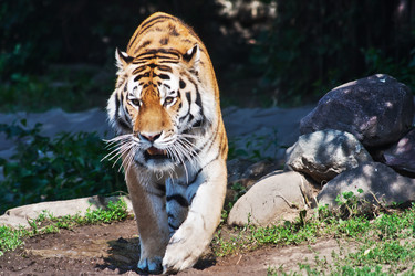 Similar image 796623