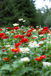 Similar image 796690