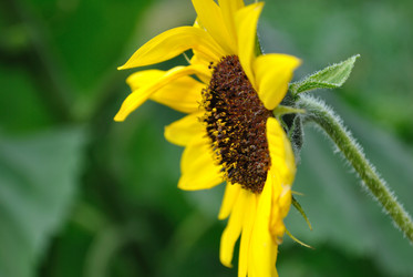 Similar image 796776