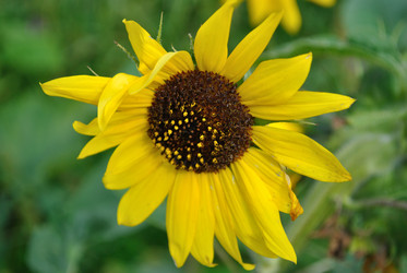 Similar image 796777