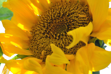 Similar image 796779