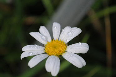 Similar image 796783