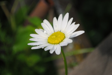 Similar image 796784