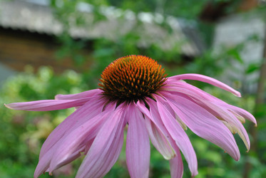 Similar image 796786