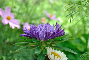 Similar image 796787