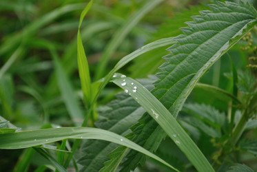 Similar image 796790