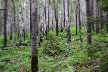 Similar image 796792