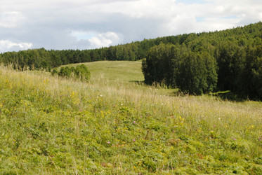 Similar image 796794