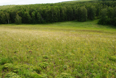 Similar image 796795