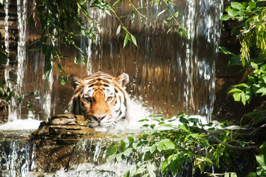 Similar image 796810