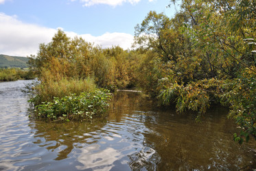 Similar image 796811