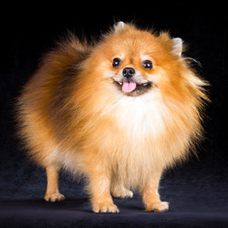 Similar image 796897