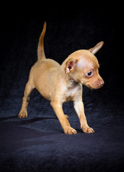 Similar image 796901