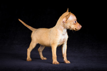 Similar image 796903