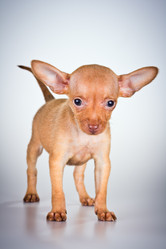 Similar image 796911