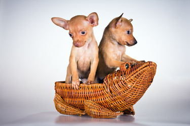 Similar image 796915