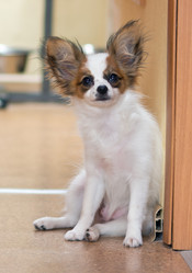 Similar image 796922