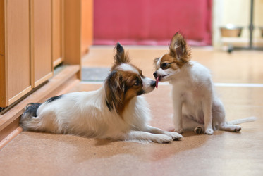 Similar image 796925