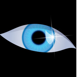 Similar image 796946