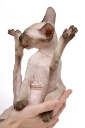 Similar image 797012