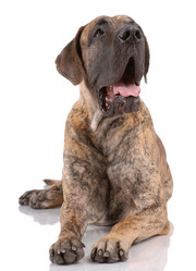 Similar image 797018