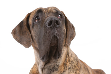 Similar image 797019