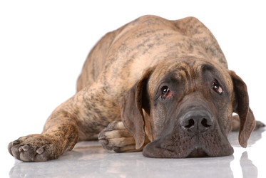 Similar image 797022