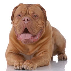 Similar image 797027