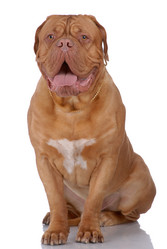 Similar image 797028