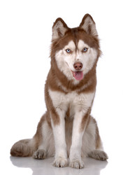 Similar image 797039