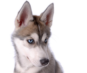 Similar image 797041