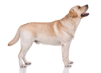 Similar image 797043