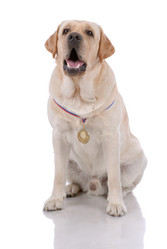 Similar image 797046