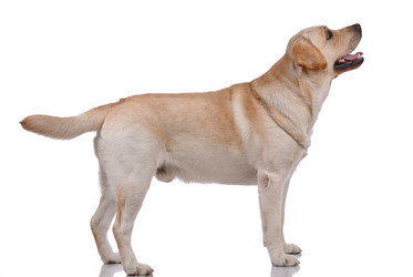 Similar image 797048