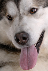 Similar image 797056