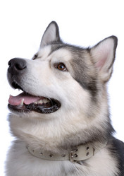 Similar image 797059