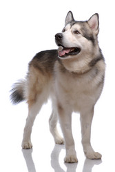 Similar image 797061