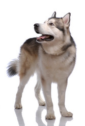 Similar image 797062