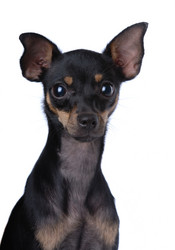 Similar image 797069